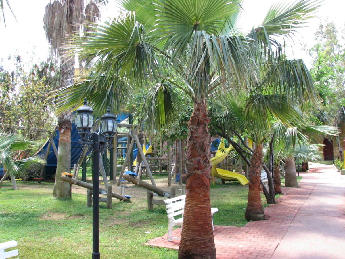 imagini hotel DELPHIN BOTANIK